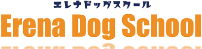大阪市・尼崎市のドッグスクール「Erena Dog School(エレナドッグスクール)」